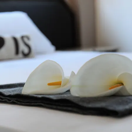 Napa * Айя-Напа